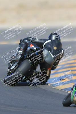 media/May-13-2023-SoCal Trackdays (Sat) [[8a473a8fd1]]/Turn 11 Backside (945am)/